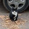 Aliaksandr profil fotoğrafı