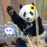 ナルくん🎋 的头像