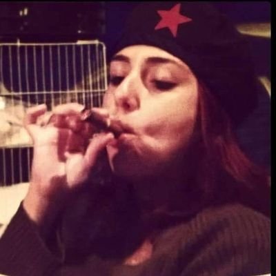 malupr's profile picture