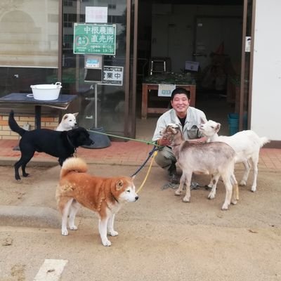 nakanefm's profile picture