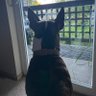 Tiggchiller profil fotoğrafı
