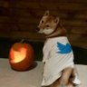 Lola1007's profile picture