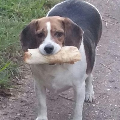 AsarathaHS's profile picture