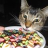 UMS's profile picture