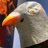 Фото профиля Pigeon-Guy