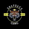 SnapBackGang SBG 的头像