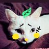 ｷﾘﾏﾏ profil fotoğrafı