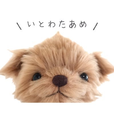 itowataame's profile picture
