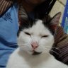 Naiss 的头像