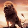 الدَّهُوس profil fotoğrafı