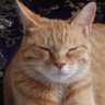 michi's profile picture