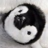 依田 俊哉 ヨダトシヤ profil fotoğrafı