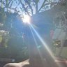 Ícaro Leão's profile picture