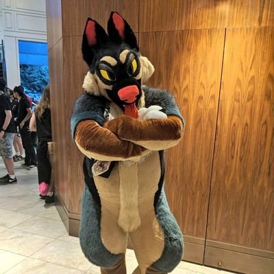 PabstShepherd's profile picture