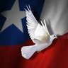 La Patriota 🇨🇱♥️👮🕵️🇨🇱 profil fotoğrafı