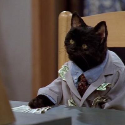 Gato Bogotano 🐈🌲🌲🌾🌴🌬️'s profile picture