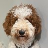 Profilbild von Otis