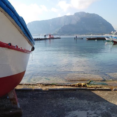 ItalyWith's profile picture