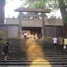 Фото профиля トミー・シュー