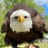 Фото профиля Dave