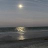pvbbeachcomber profil fotoğrafı