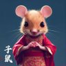 xiaoxin's profile picture