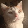 Gilles ✞ profil fotoğrafı