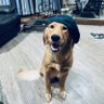 Profilbild von Bob