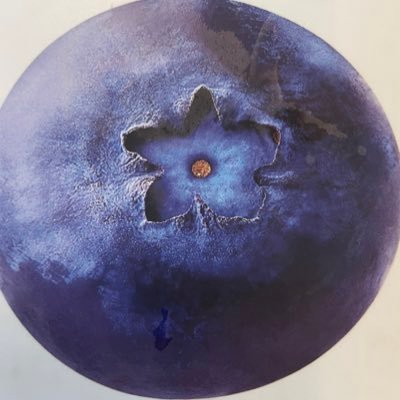 NewsWff's profile picture