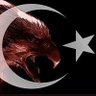 Фото профиля Kafkas Kartalı Ahıskalı