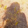 Фото профиля 🌿The Wild Prairie