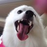 DebY13 的头像