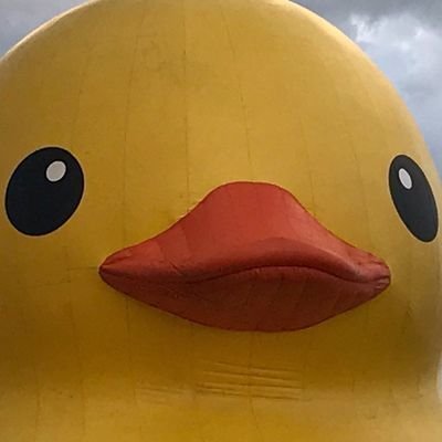 shitegoblin's profile picture