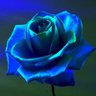 Daniel Rose's profile picture