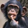Vusima's profile picture