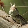Mumstheword's profile picture