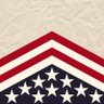 The Upgrade America Project Team 的头像