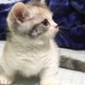 るー profil fotoğrafı