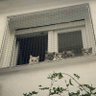 ASEN's profile picture