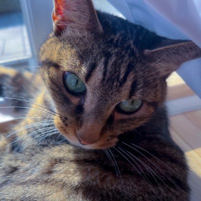nanaki14's profile picture