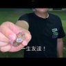 昨夜(ゆうべ) 的头像
