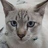 Profilbild von punja arena