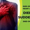 Died Suddenly Worldwide profil fotoğrafı
