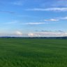 Фото профиля 葡萄枝