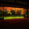 Фото профиля 早花咲月