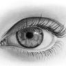 Profilbild von Marie Dristan