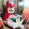 Corkie 的头像