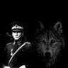Bozok Avşar's profile picture