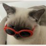 Profilbild von 𝖄𝖚𝖙𝖕𝖆