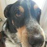 clènedatou's profile picture
